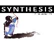 Программа SYNTHESIS ДЕНЬ 2